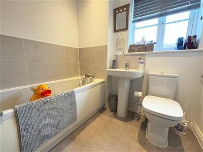 Picture 18